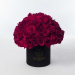 Red roses arranged in a bouquet
